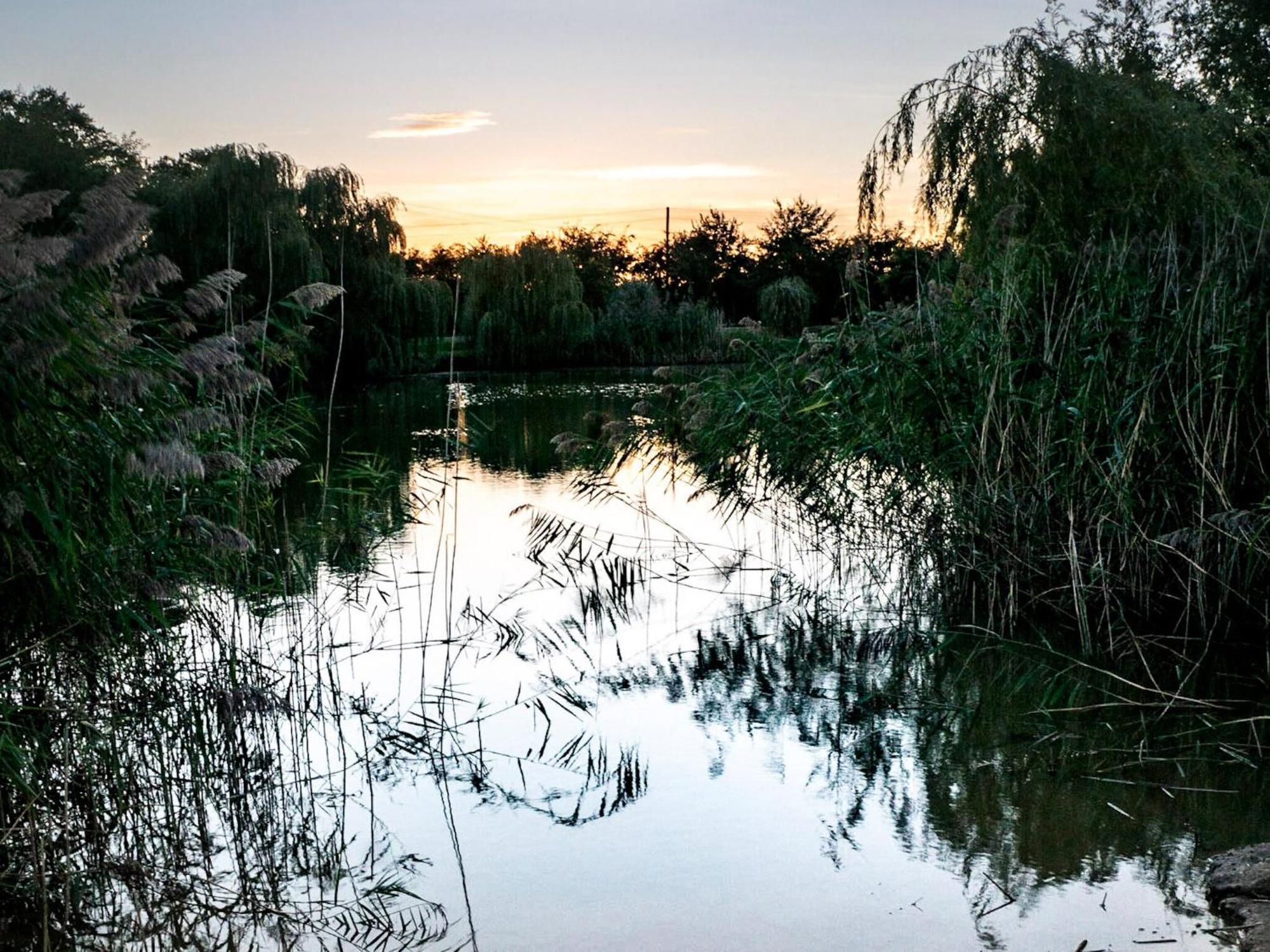 No, 6 Lake View Lodges - 28283 Old Leake المظهر الخارجي الصورة